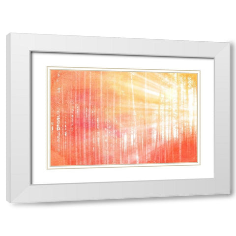 Forest Brights White Modern Wood Framed Art Print with Double Matting by Kimberly, Allen
