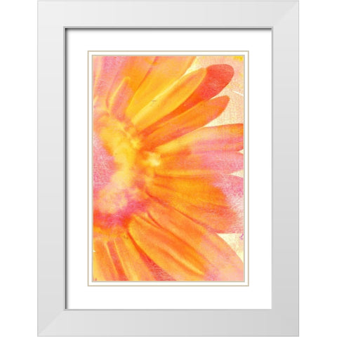 Blooming Bright White Modern Wood Framed Art Print with Double Matting by Kimberly, Allen