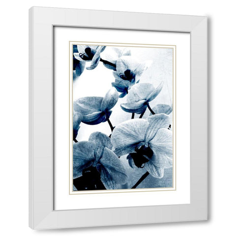 Climbing Orchids White Modern Wood Framed Art Print with Double Matting by Kimberly, Allen