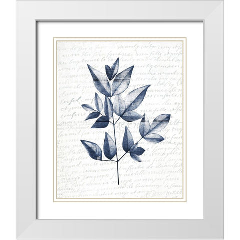 Pressed Leaves 1 White Modern Wood Framed Art Print with Double Matting by Kimberly, Allen