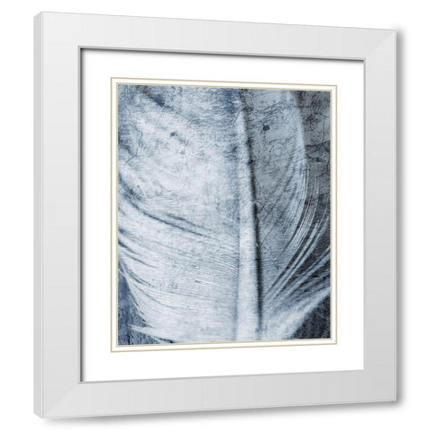 Up Close Feather 1 White Modern Wood Framed Art Print with Double Matting by Kimberly, Allen