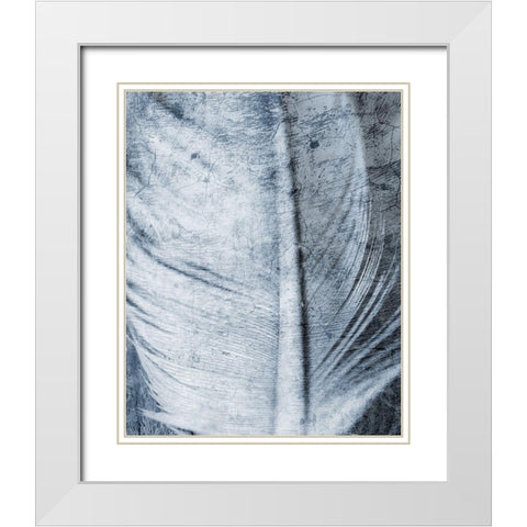 Up Close Feather 1 White Modern Wood Framed Art Print with Double Matting by Kimberly, Allen