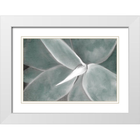 Succulent Center White Modern Wood Framed Art Print with Double Matting by Kimberly, Allen