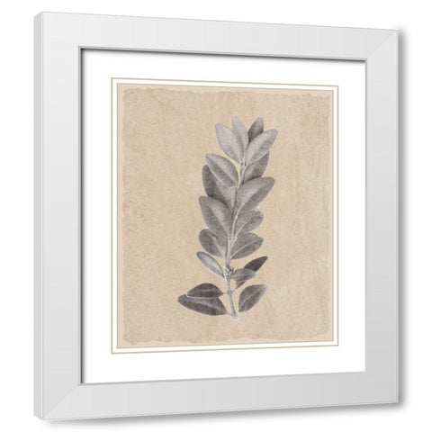 Blue Leaf Print 2 White Modern Wood Framed Art Print with Double Matting by Kimberly, Allen