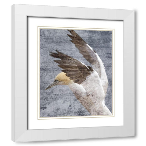 In Flight 2 White Modern Wood Framed Art Print with Double Matting by Kimberly, Allen