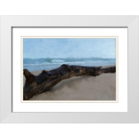 Driftwood White Modern Wood Framed Art Print with Double Matting by Kimberly, Allen