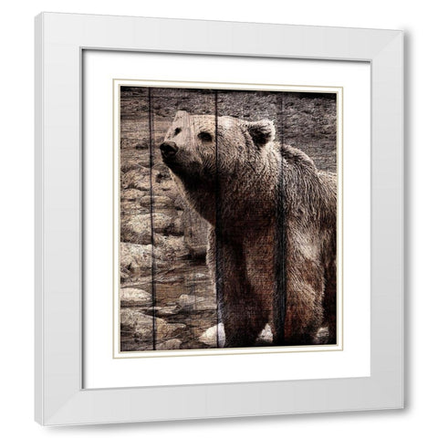 Into the Woods 3 White Modern Wood Framed Art Print with Double Matting by Kimberly, Allen