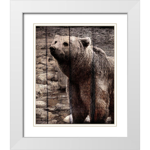 Into the Woods 3 White Modern Wood Framed Art Print with Double Matting by Kimberly, Allen