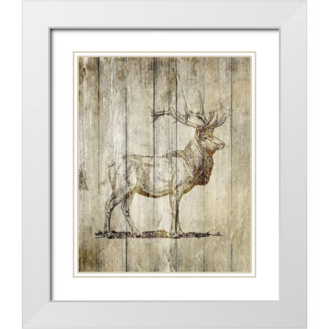 Standing Elk White Modern Wood Framed Art Print with Double Matting by Kimberly, Allen