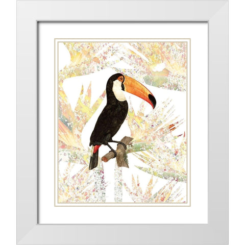 Toucan White Modern Wood Framed Art Print with Double Matting by Kimberly, Allen