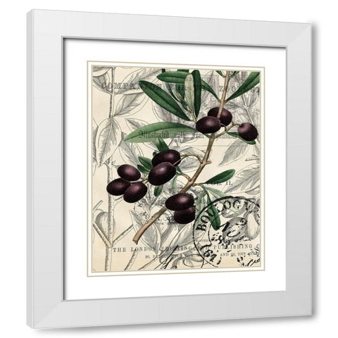 Olive Love 1 White Modern Wood Framed Art Print with Double Matting by Kimberly, Allen