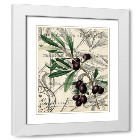 Olive Love 2 White Modern Wood Framed Art Print with Double Matting by Kimberly, Allen