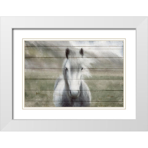 Wild White Modern Wood Framed Art Print with Double Matting by Kimberly, Allen