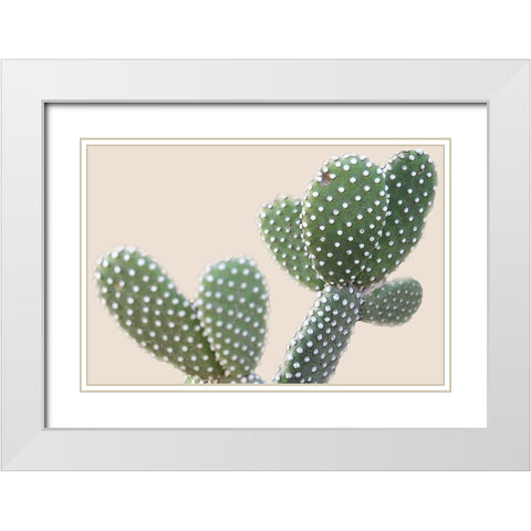 Blush Cactus 1 White Modern Wood Framed Art Print with Double Matting by Kimberly, Allen