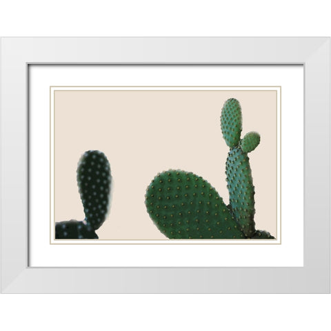 Blush Cactus 2 White Modern Wood Framed Art Print with Double Matting by Kimberly, Allen