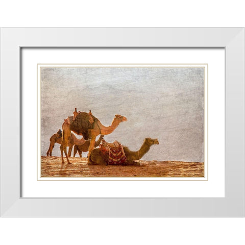 In the Desert White Modern Wood Framed Art Print with Double Matting by Kimberly, Allen