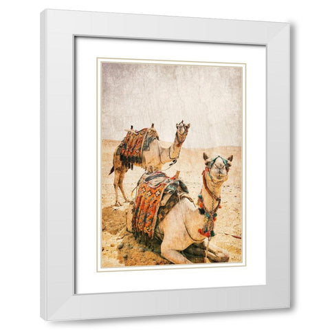 At rest White Modern Wood Framed Art Print with Double Matting by Kimberly, Allen