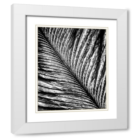 Black and White Feather 2 White Modern Wood Framed Art Print with Double Matting by Kimberly, Allen