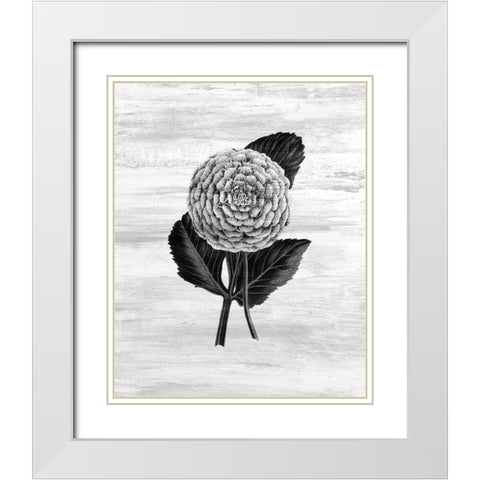 Botanical Flower 3 White Modern Wood Framed Art Print with Double Matting by Kimberly, Allen