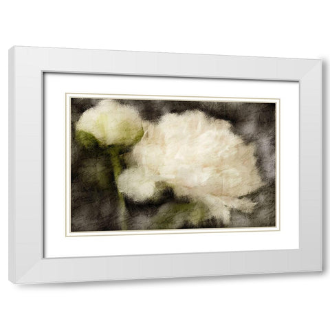 Peony Blooming White Modern Wood Framed Art Print with Double Matting by Kimberly, Allen