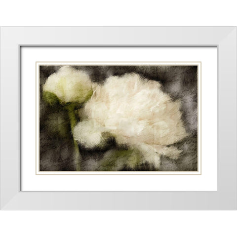 Peony Blooming White Modern Wood Framed Art Print with Double Matting by Kimberly, Allen
