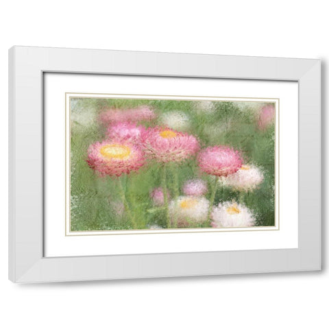 Pink Wild White Modern Wood Framed Art Print with Double Matting by Kimberly, Allen