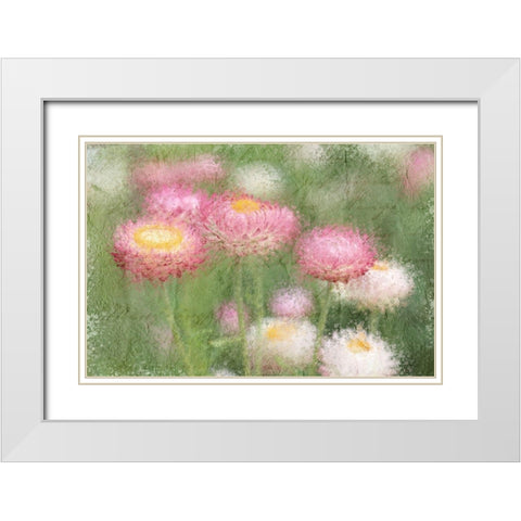 Pink Wild White Modern Wood Framed Art Print with Double Matting by Kimberly, Allen