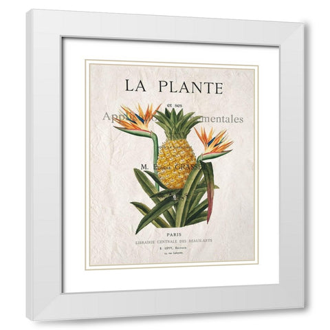 La Plante White Modern Wood Framed Art Print with Double Matting by Kimberly, Allen