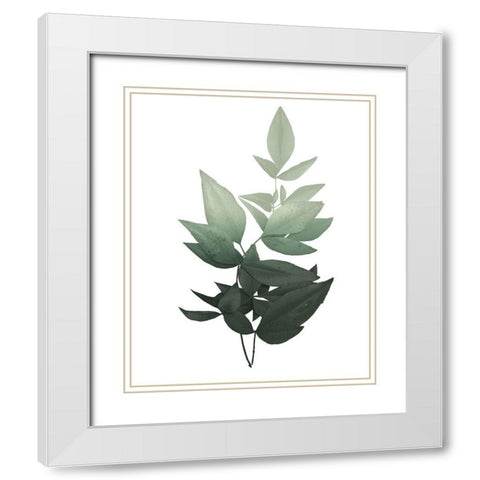 Botanical Greens 1 White Modern Wood Framed Art Print with Double Matting by Kimberly, Allen
