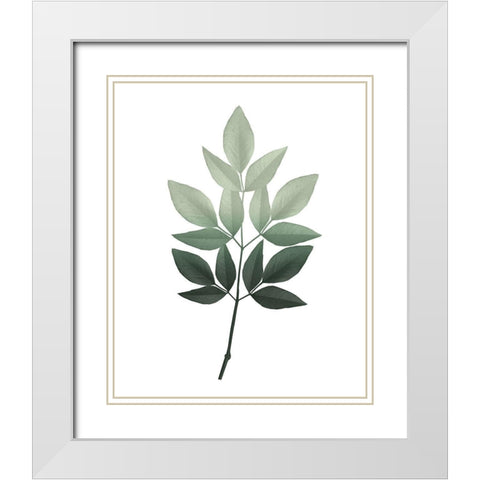 Botanical Greens 2 White Modern Wood Framed Art Print with Double Matting by Kimberly, Allen