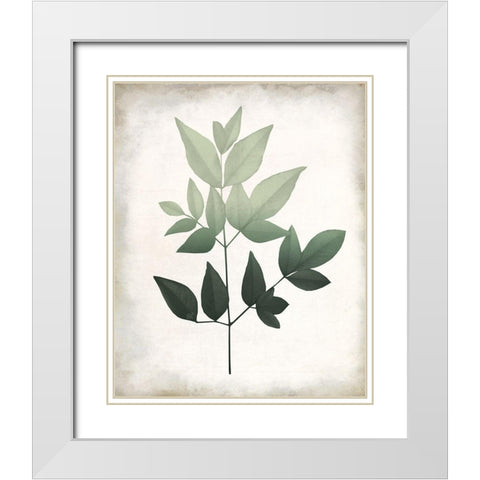 Vintage Botanical Greens 2 White Modern Wood Framed Art Print with Double Matting by Allen, Kimberly