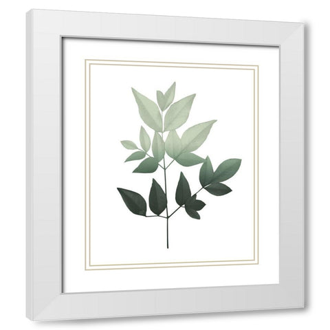 Botanical Greens 3 White Modern Wood Framed Art Print with Double Matting by Kimberly, Allen