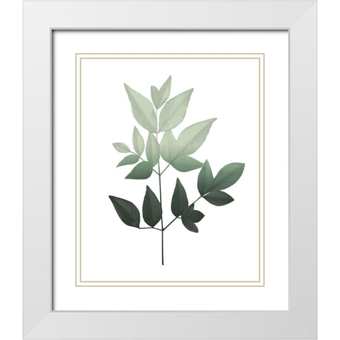 Botanical Greens 3 White Modern Wood Framed Art Print with Double Matting by Kimberly, Allen
