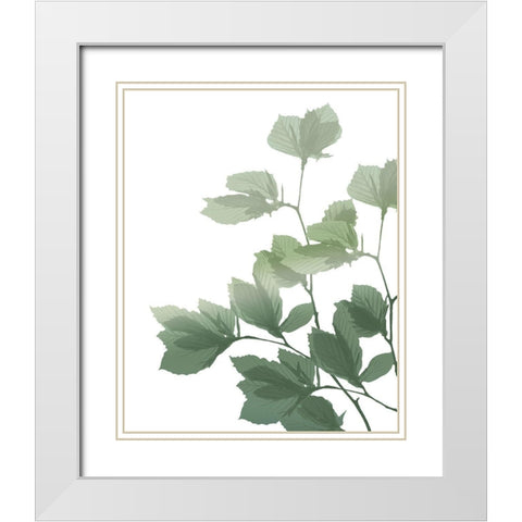 Silhouette Branch White Modern Wood Framed Art Print with Double Matting by Kimberly, Allen