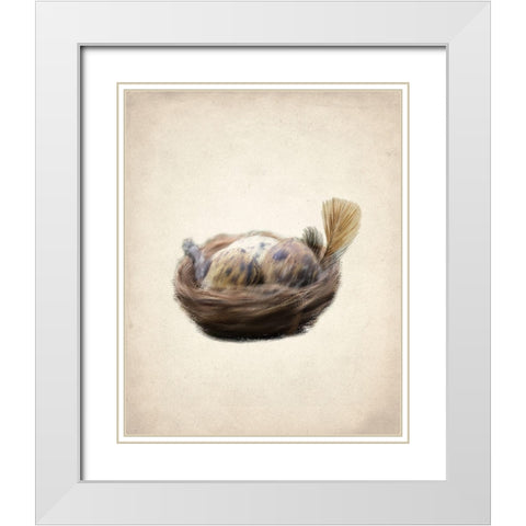 Natural 2 White Modern Wood Framed Art Print with Double Matting by Kimberly, Allen