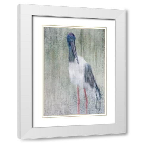 Exotic White Modern Wood Framed Art Print with Double Matting by Kimberly, Allen