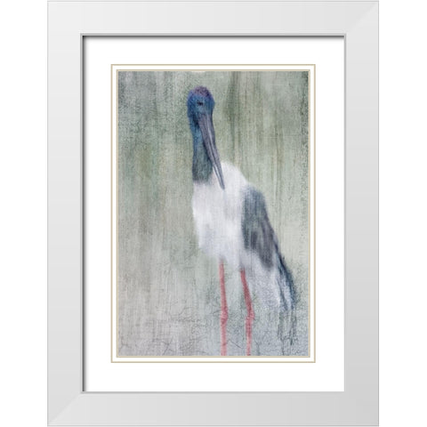 Exotic White Modern Wood Framed Art Print with Double Matting by Kimberly, Allen