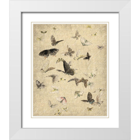 Butterflies in Flight 1 White Modern Wood Framed Art Print with Double Matting by Kimberly, Allen