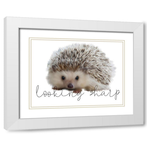 Looking Sharp White Modern Wood Framed Art Print with Double Matting by Kimberly, Allen