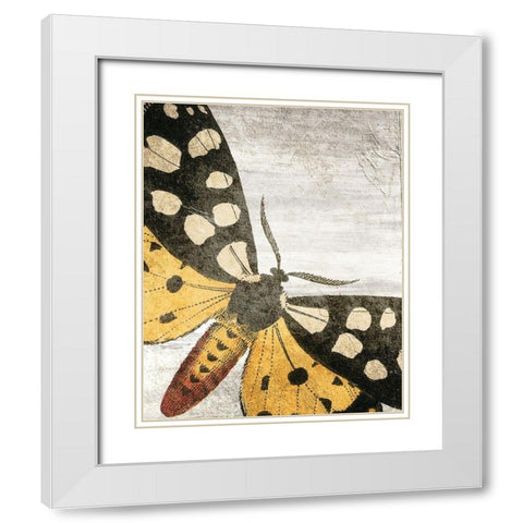Vintage Butterfly 1 White Modern Wood Framed Art Print with Double Matting by Kimberly, Allen