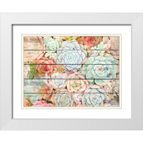 Succulent Cluster White Modern Wood Framed Art Print with Double Matting by Kimberly, Allen