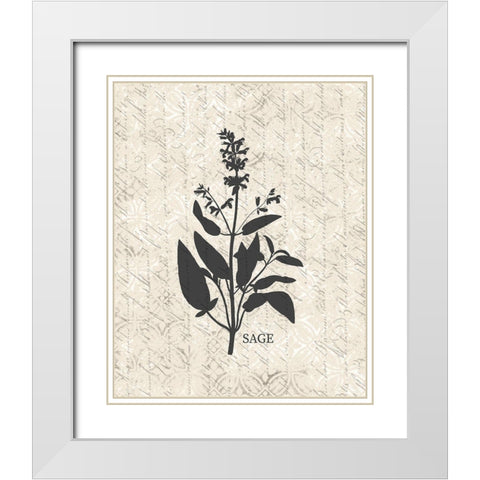 Fresh Sage White Modern Wood Framed Art Print with Double Matting by Kimberly, Allen