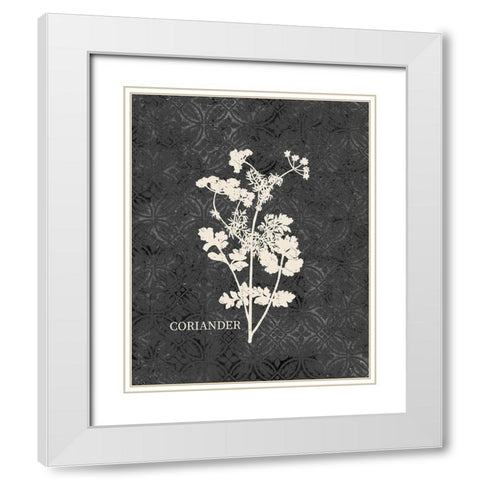 Fresh Coriander White Modern Wood Framed Art Print with Double Matting by Kimberly, Allen