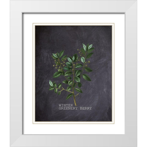Blackboard Botanical 2 White Modern Wood Framed Art Print with Double Matting by Kimberly, Allen