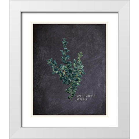 Blackboard Botanical 3 White Modern Wood Framed Art Print with Double Matting by Kimberly, Allen
