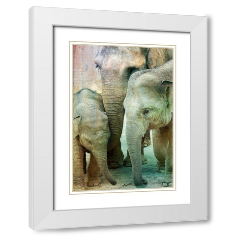 Elephant Family White Modern Wood Framed Art Print with Double Matting by Kimberly, Allen