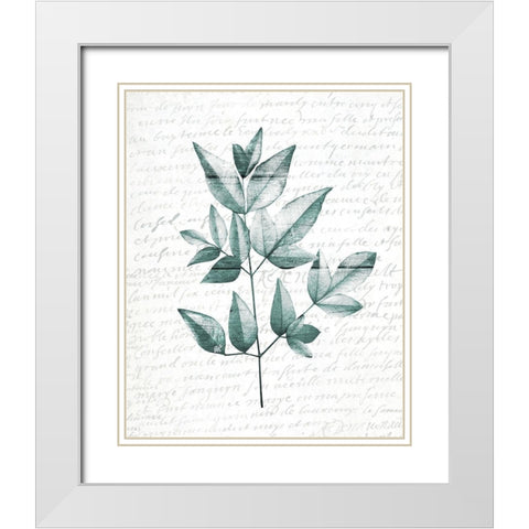 Pressed Leaves 1 White Modern Wood Framed Art Print with Double Matting by Kimberly, Allen