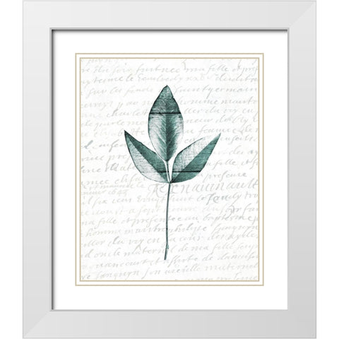Pressed Leaves 2 White Modern Wood Framed Art Print with Double Matting by Kimberly, Allen