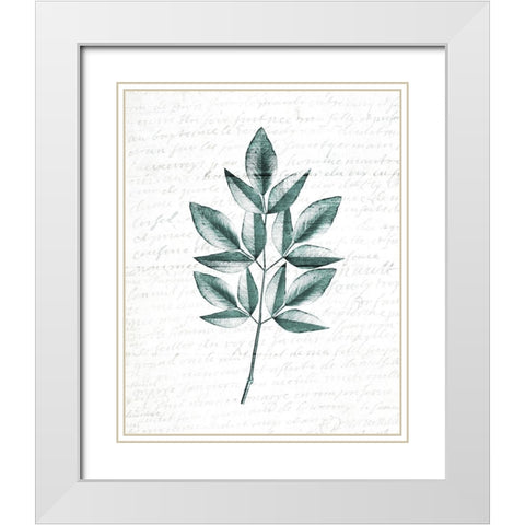 Pressed Leaves 3 White Modern Wood Framed Art Print with Double Matting by Kimberly, Allen