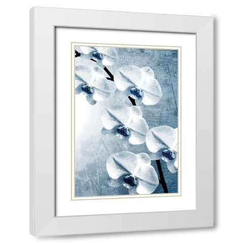 Climbing Orchids 2 White Modern Wood Framed Art Print with Double Matting by Kimberly, Allen